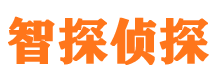 城口市私家侦探